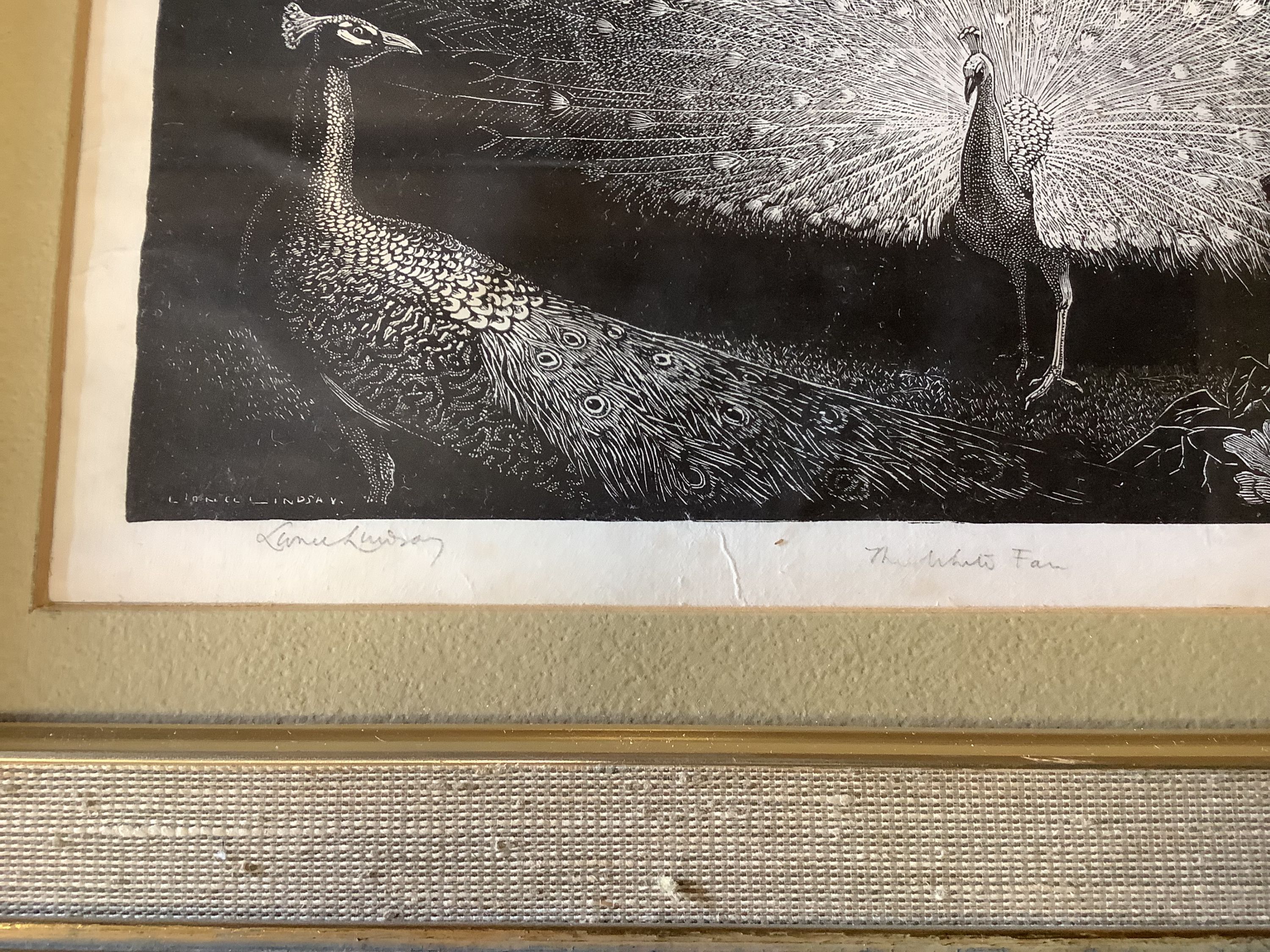 Lionel Lindsay, etching, Peacocks 18x24cm